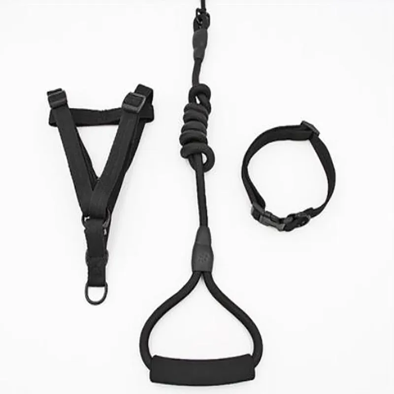 Puppy medium dog leash