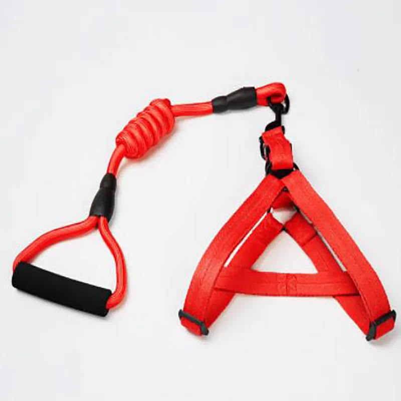 Puppy medium dog leash