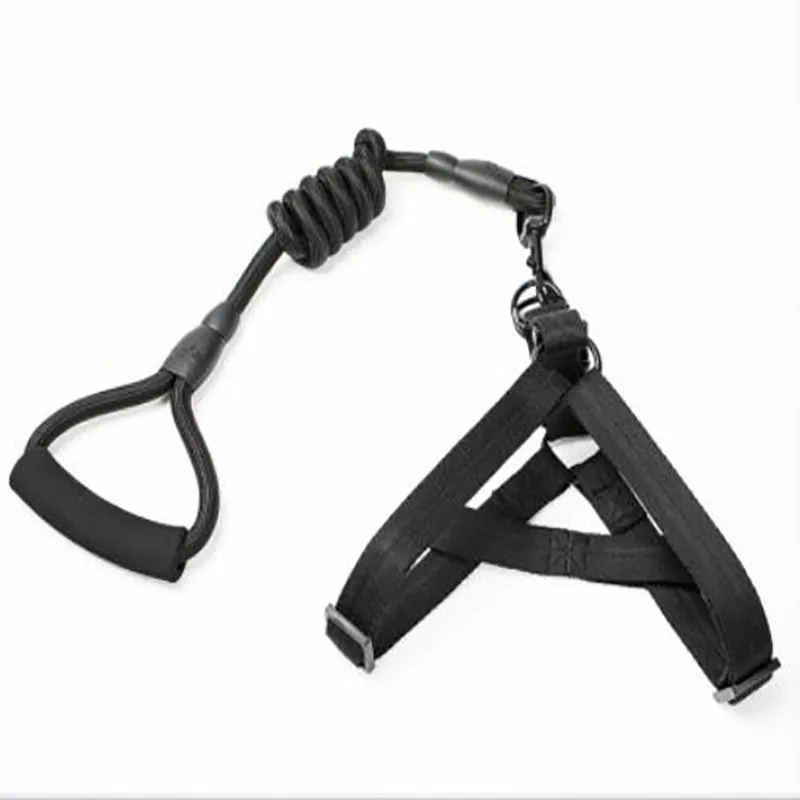 Puppy medium dog leash
