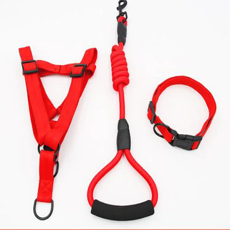 Puppy medium dog leash