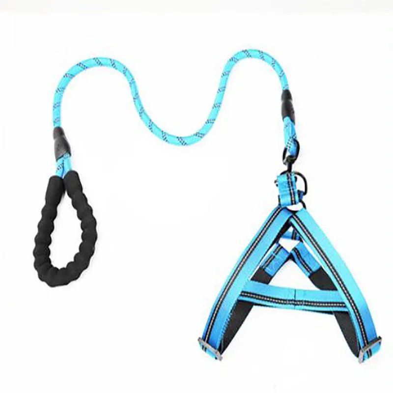 Puppy medium dog leash
