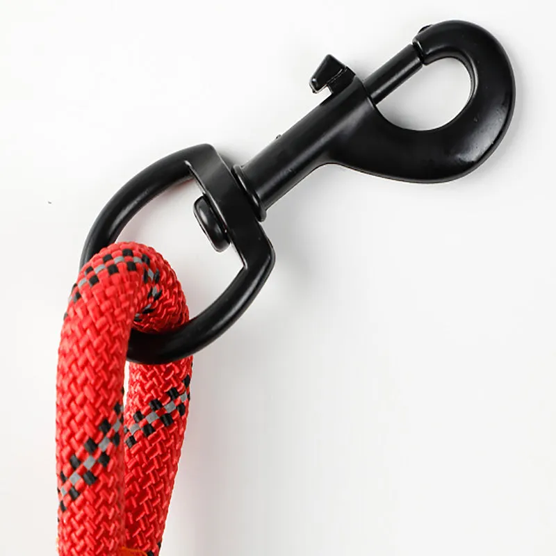 Puppy medium dog leash