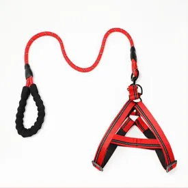 Puppy medium dog leash