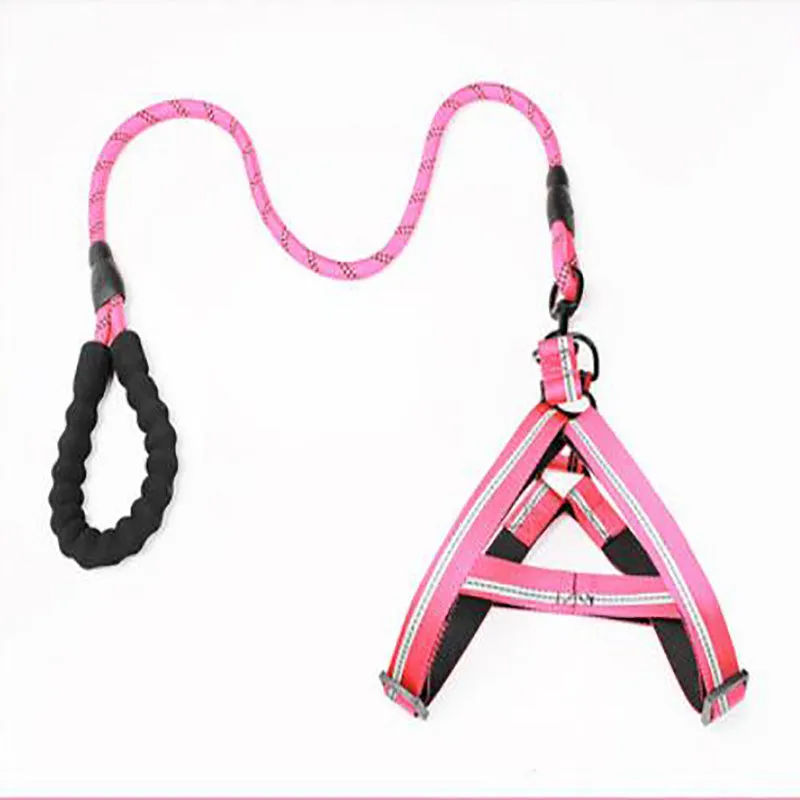 Puppy medium dog leash