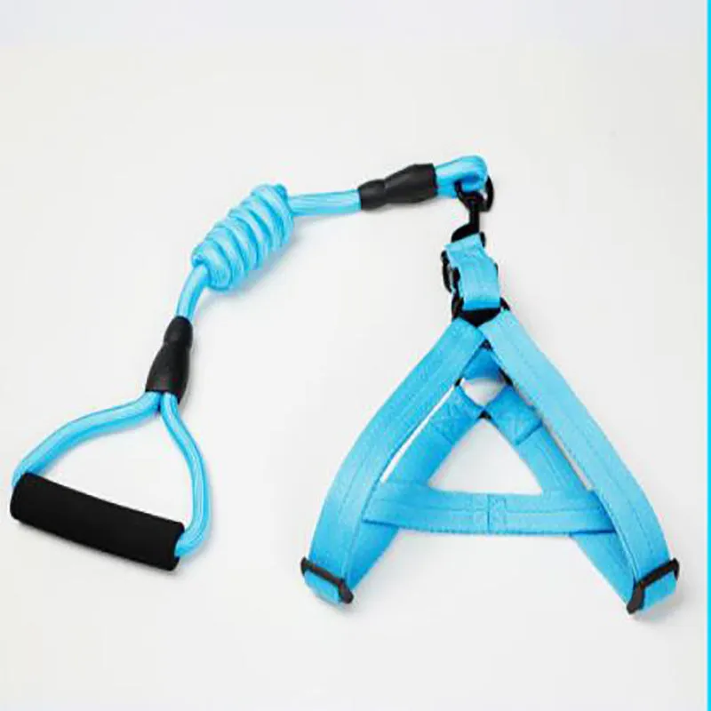 Puppy medium dog leash