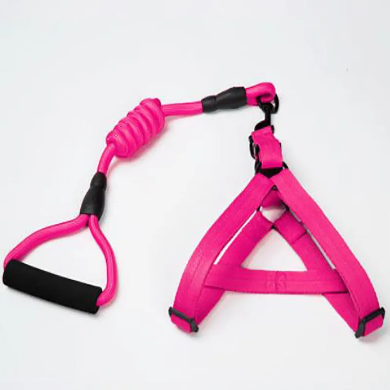 Puppy medium dog leash