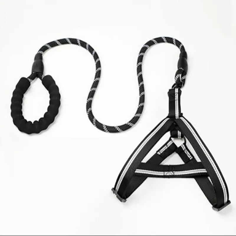 Puppy medium dog leash