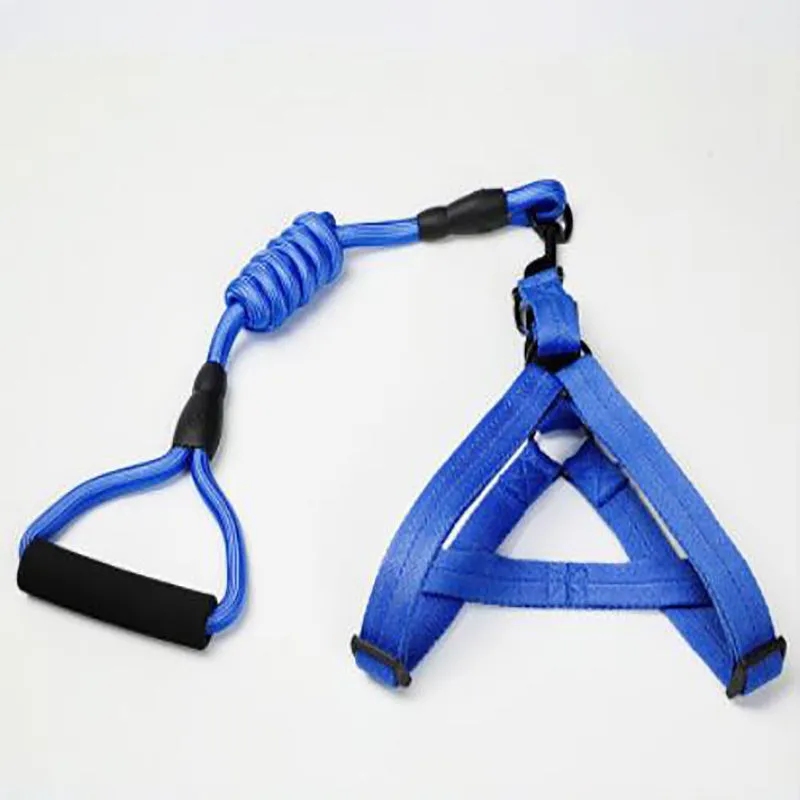 Puppy medium dog leash
