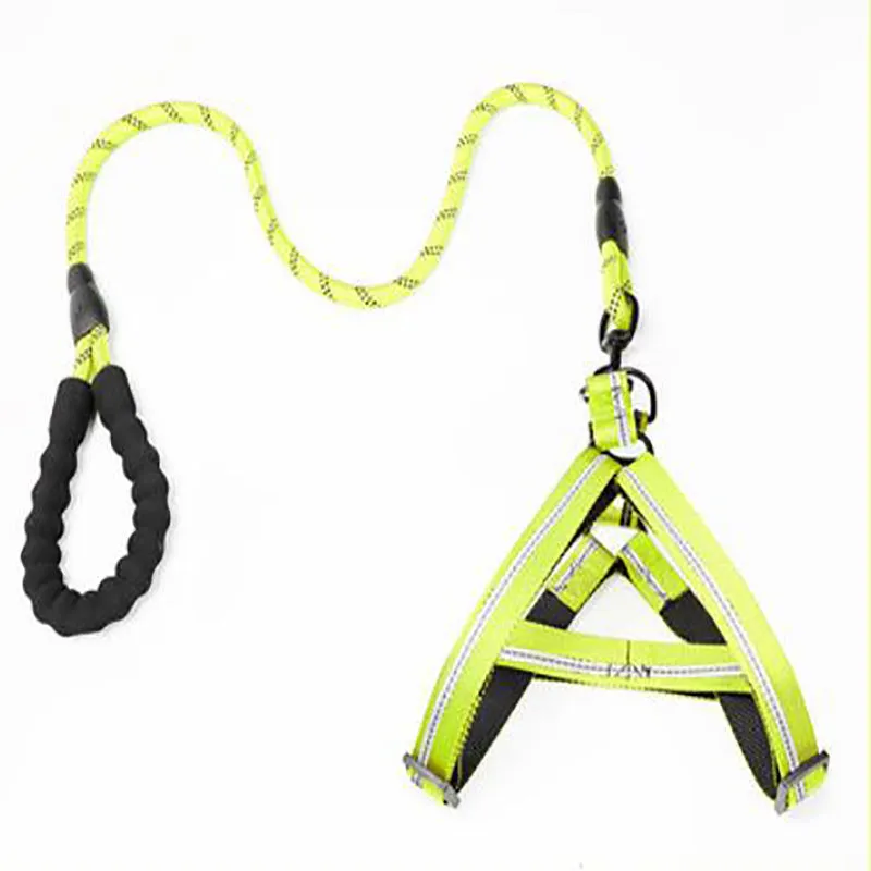 Puppy medium dog leash