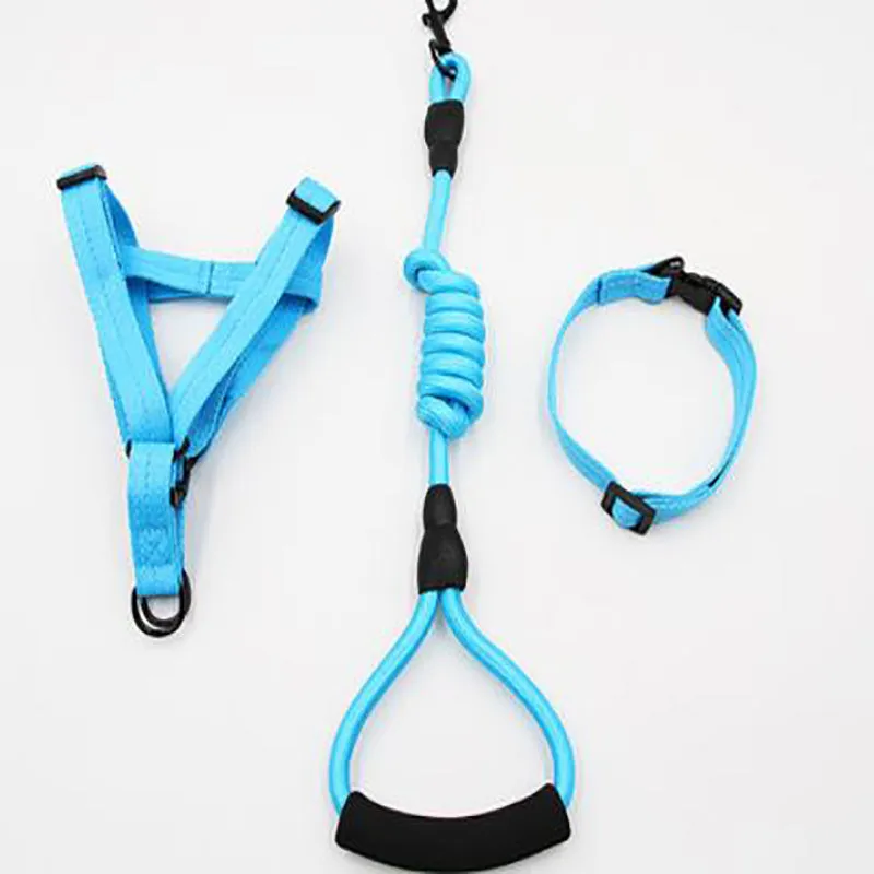 Puppy medium dog leash