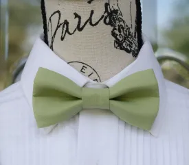Sage Green Bow Tie (172)